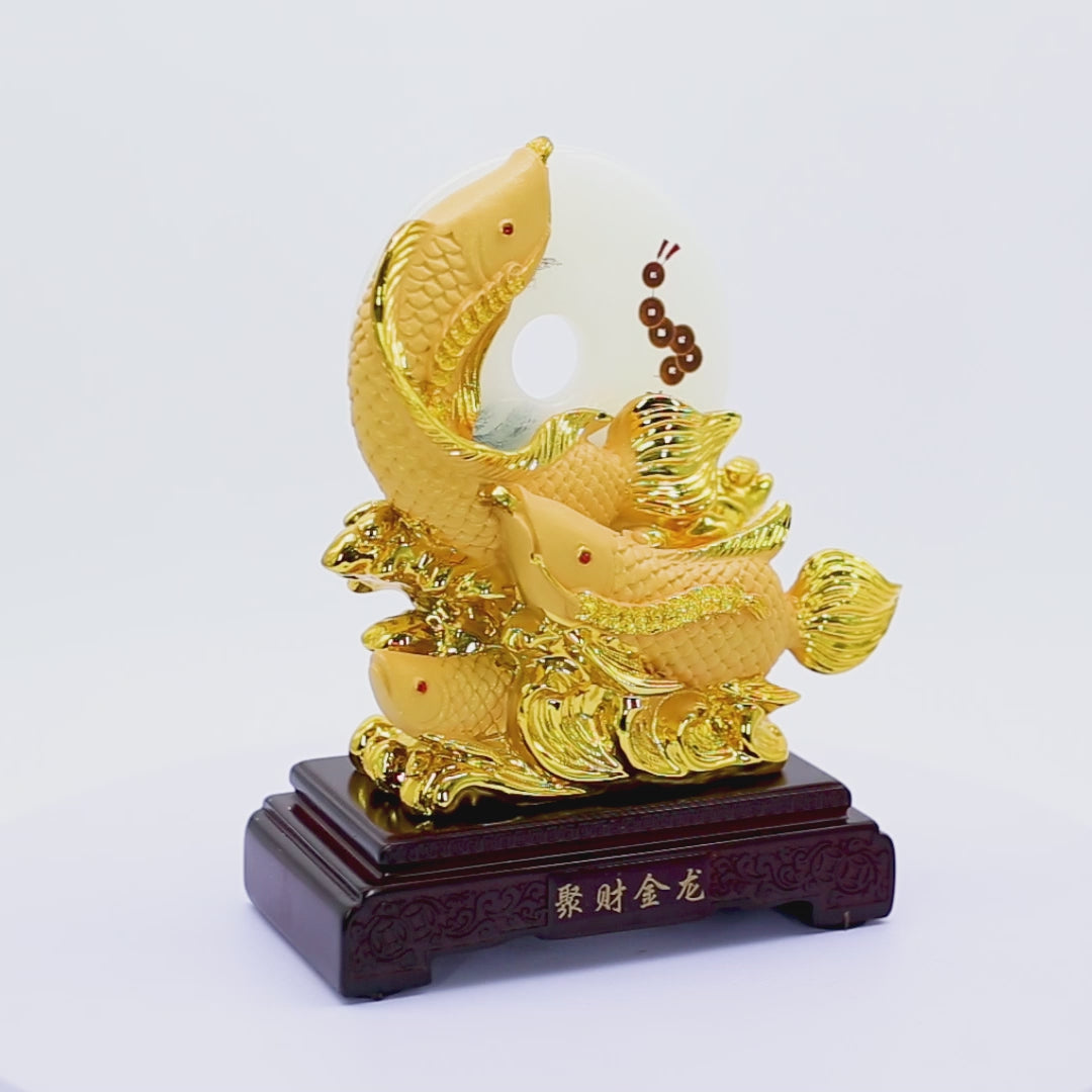 Incoming Prosperity Arowanas with Bi Disc 25cm