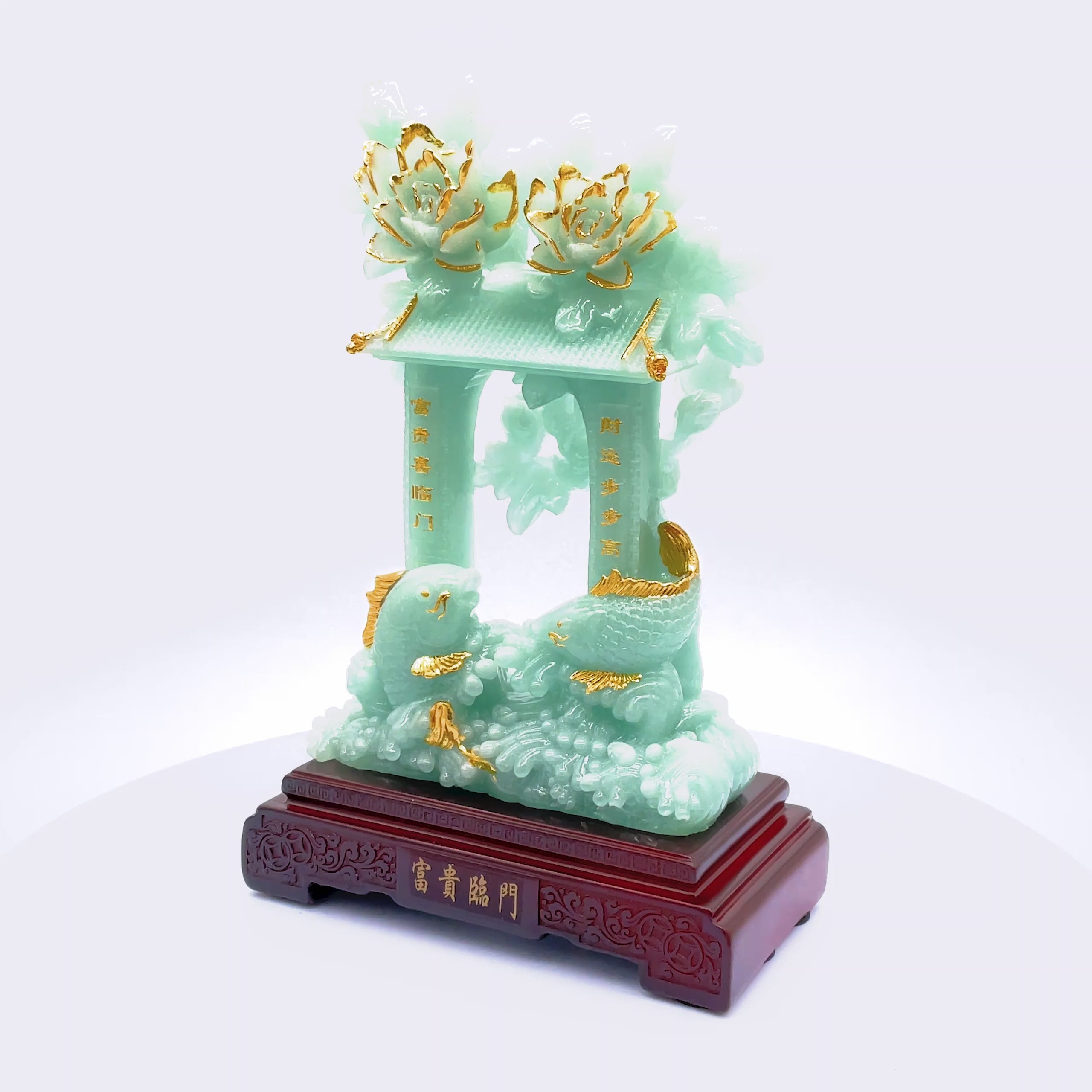 A Home Filled With Wealth Arowanas 26cm