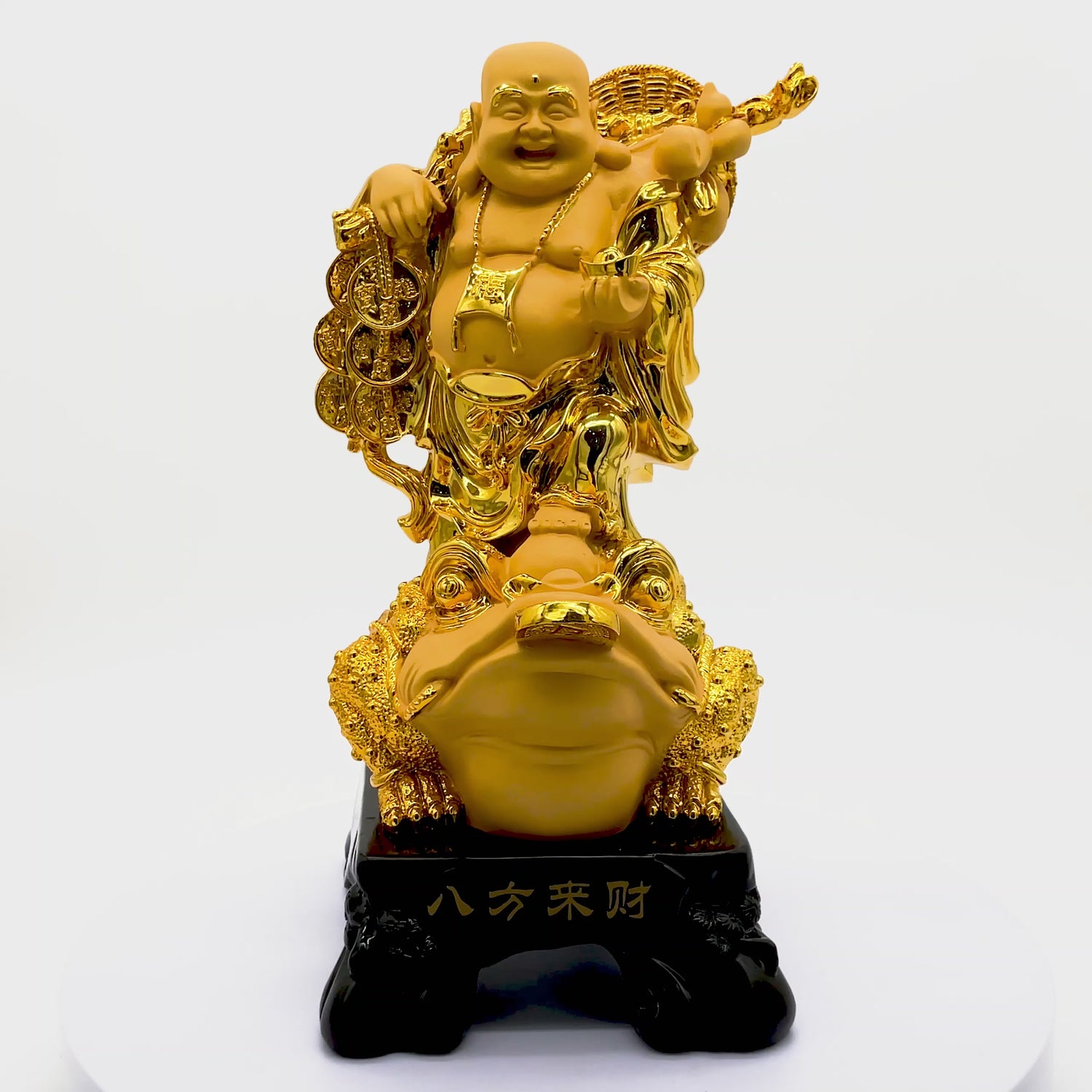 Double Wealth Luck Buddha on Money Frog 36cm