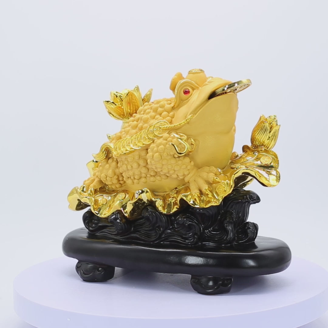 Display of Wealth Golden Money Frog 33cm