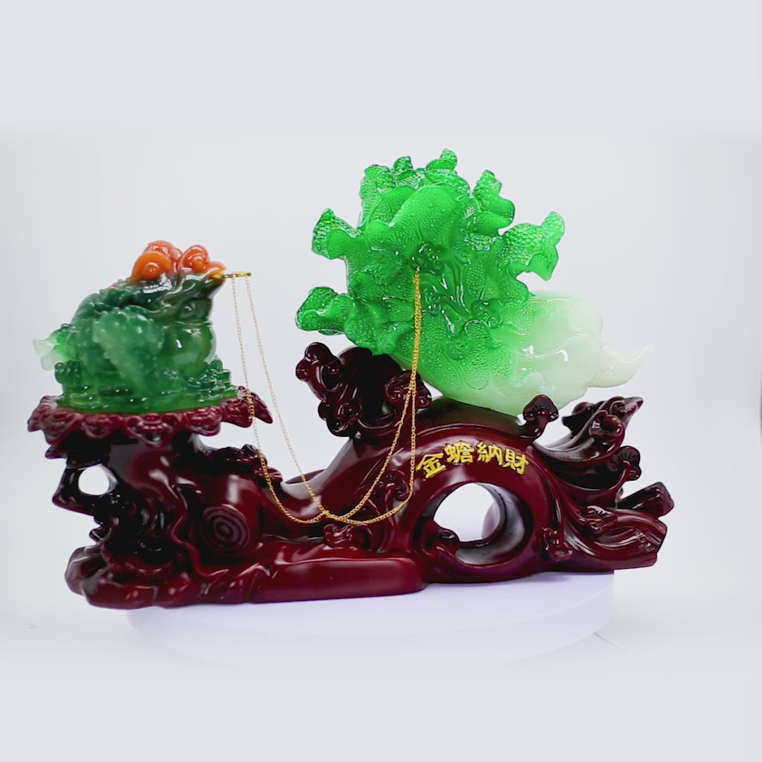 The Big Gains Cabbage with Money Frog 50cm