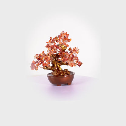 Red Agate Crystal Tree for Strength &amp; Vitality 25cm