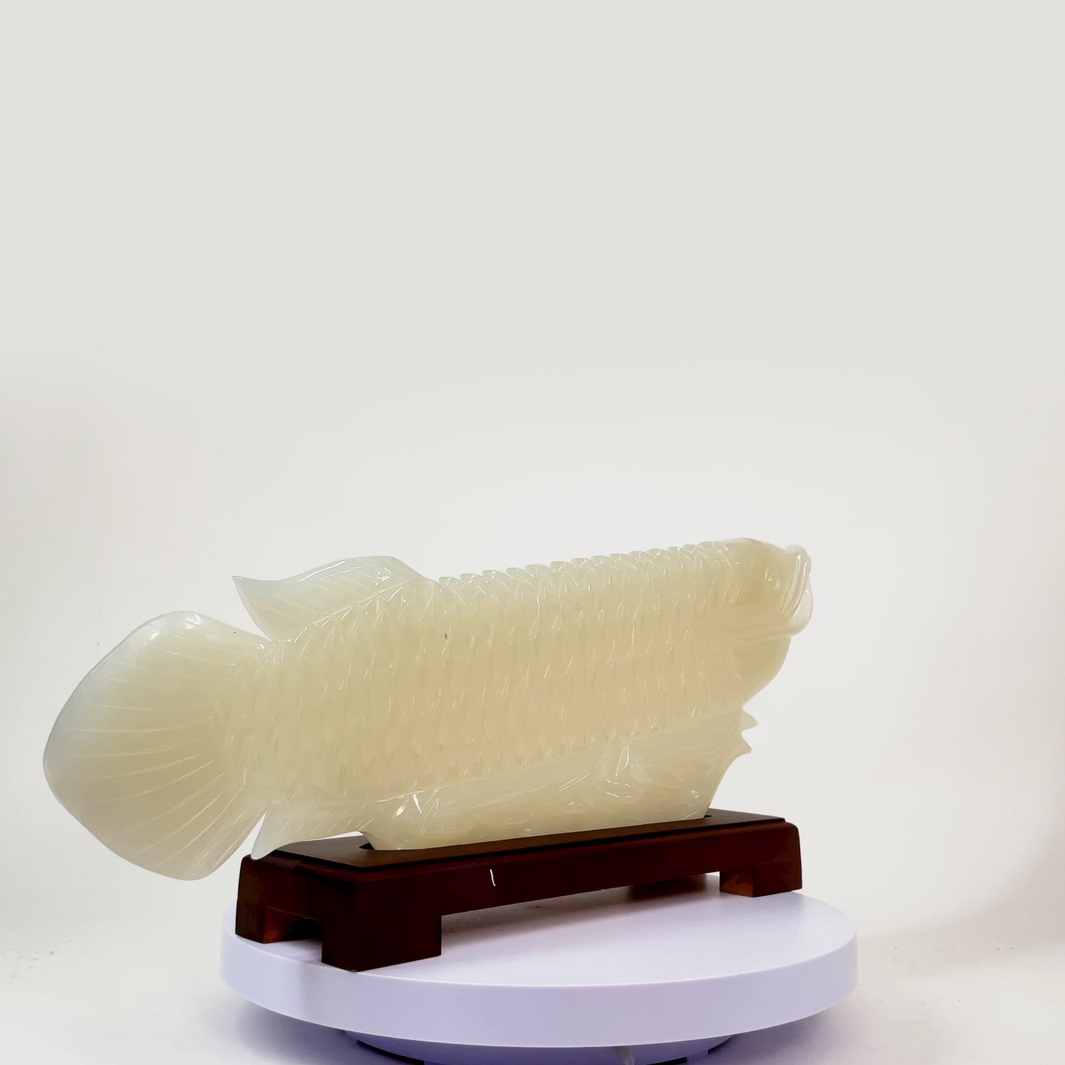 "Strengthen Business Luck" - Jade Arowana 62cm